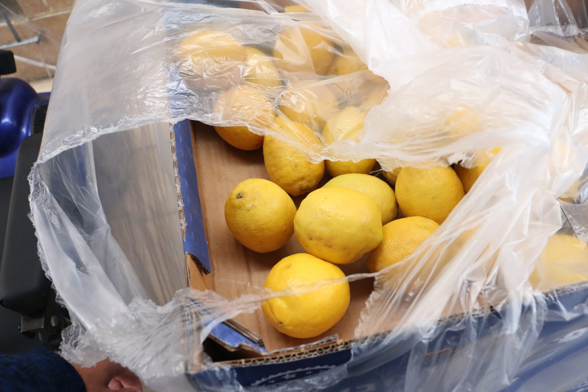 WhatsApp Image 2023-04-11 at 8.33.05 AM.jpeg